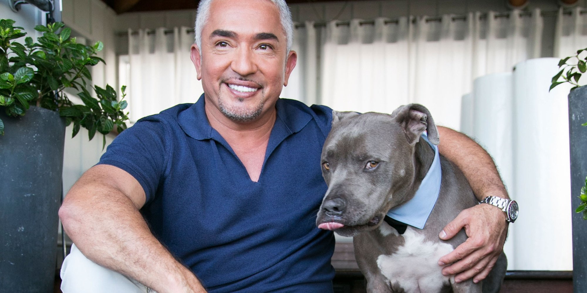 WEST HOLLYWOOD, CA - MARCH 13: Dog behaviorist Cesar Millan attends the celebration for Season 2 of "Cesar 911" on Nat Geo Wild at SkyBar at the Mondrian Los Angeles on March 13, 2015 in West Hollywood, California. (Photo by Vincent Sandoval/WireImage)
